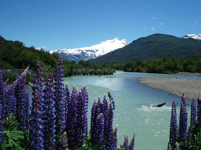 Primavera en Bariloche