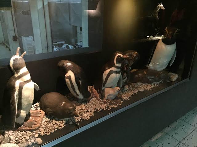 Museo del Chocolate en Bariloche
